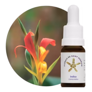 Indica Floral de Saint Germain 10 ml