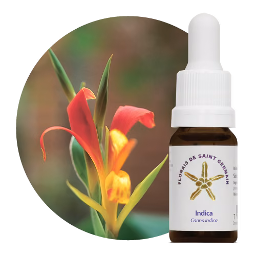 Indica Floral de Saint Germain 10 ml