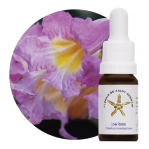 Ipê Roxo Floral de Saint Germain 10 ml