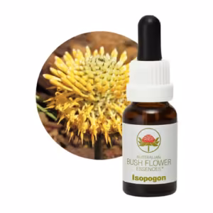 Isopogon Floral do Bush Australiano 15 ml