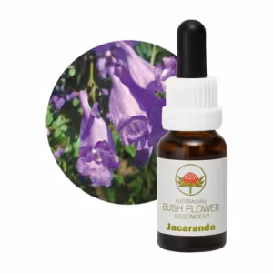 Jacaranda Floral do Bush Australiano 15 ml