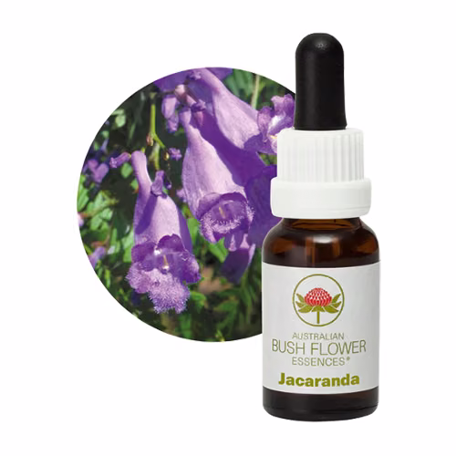 Jacaranda Floral do Bush Australiano 15 ml