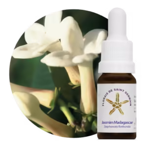 Jasmim Madagascar Floral de Saint Germain 10 ml