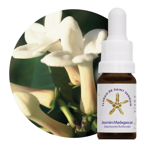 Jasmim Madagascar Floral de Saint Germain 10 ml