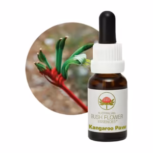 Kangaroo Paw Floral do Bush Australiano 15 ml