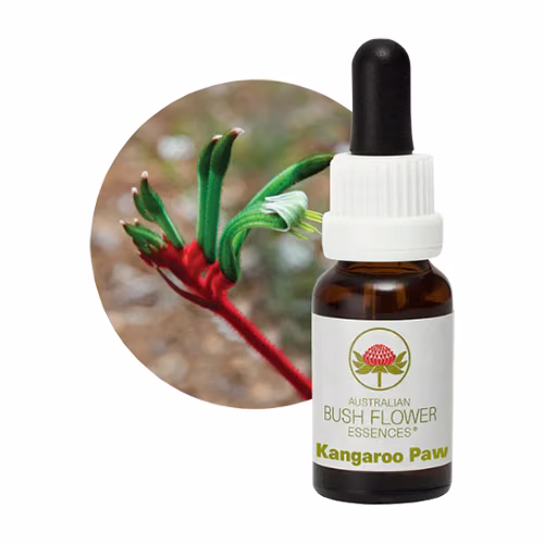 Kangaroo Paw Floral do Bush Australiano 15 ml