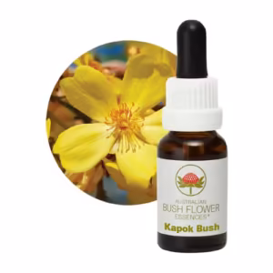 Kapok Bush Floral do Bush Australiano 15 ml