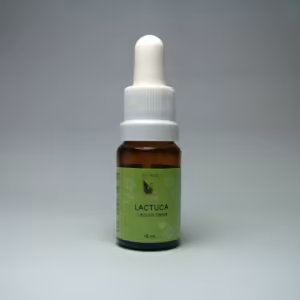 Lactuca Floral de Minas 10 ml