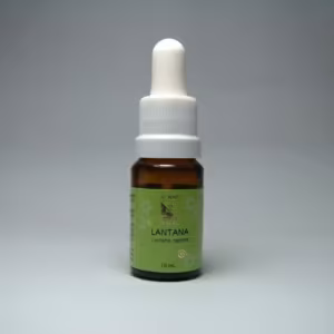Lantana Floral de Minas 10 ml