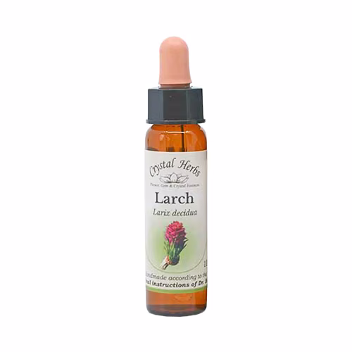 Larch Floral de Bach 10 ml - Imagem 2