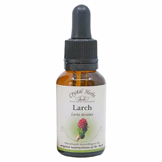 Larch Floral de Bach 20 ml - Imagem 2