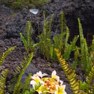 Lava Essência Ambiental do Hawaii