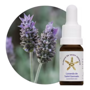 Lavanda de Saint Germain Floral de Saint Germain 10 ml
