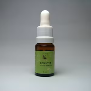 Leonotis Floral Minas 10 ml