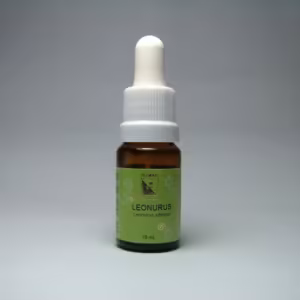 Leonurus Floral de Minas 10 ml