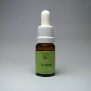 Levitate Floral de Minas 10 ml