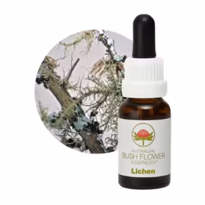 Lichen Floral do Bush Australiano 15 ml