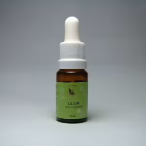 Lilium Floral de Minas 10 ml