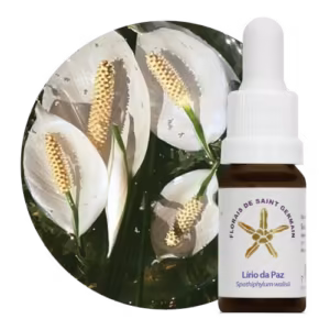 Lírio da Paz Floral de Saint Germain 10 ml