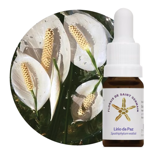 Lírio da Paz Floral de Saint Germain 10 ml