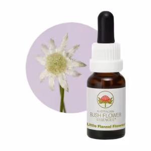 Little Flannel Flower Floral do Bush Australiano 15 ml