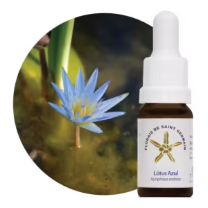 Lótus Azul Floral de Saint Germain 10 ml
