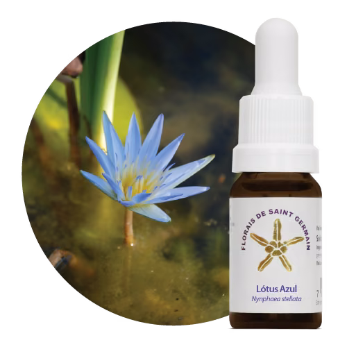 Lótus Azul Floral de Saint Germain 10 ml