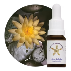 Lótus do Egito Floral de Saint Germain 10 ml