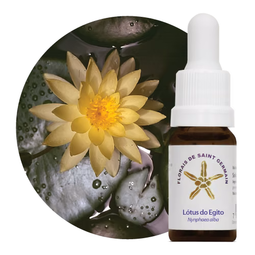 Lótus do Egito Floral de Saint Germain 10 ml