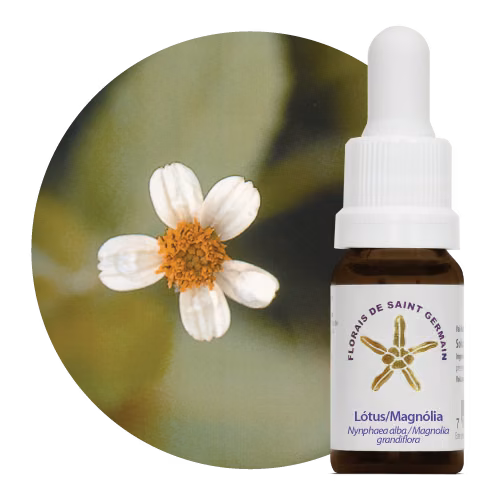 Lótus Magnólia Floral de Saint Germain 10 ml
