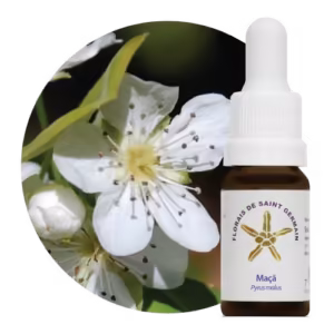 Maçã Floral de Saint Germain 10 ml