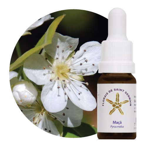 Maçã Floral de Saint Germain 10 ml