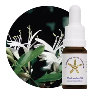 Madressilva Floral de Saint Germain 10 ml