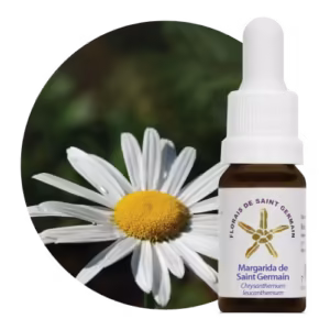 Margarida de Saint Germain Floral de Saint Germain 10 ml