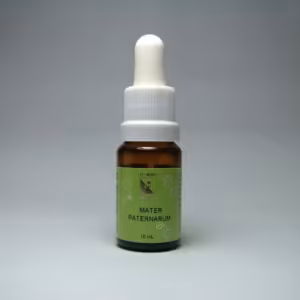 Mater Paternarum Floral de Minas 10 ml