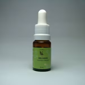 Melindre Floral de Minas 10 ml