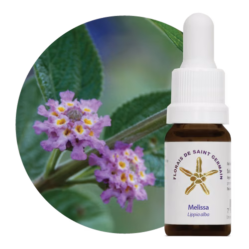 Melissa Floral de Saint Germain 10 ml