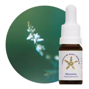 Mimozinha Floral de Saint Germain 10 ml