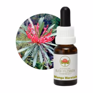 Monga Waratah Floral do Bush Australiano 15 ml