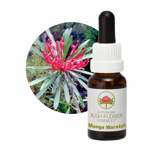 Monga Waratah Floral do Bush Australiano 15 ml