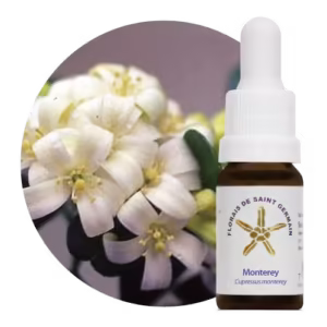 Monterey Floral de Saint Germain 10 ml