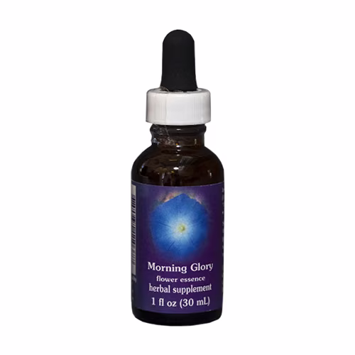 Morning Glory Floral da Califórnia 30 ml - Imagem 2