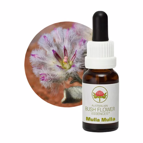 Mulla Mulla Floral do Bush Australiano 15 ml