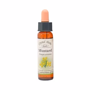 Mustard Floral de Bach 10 ml