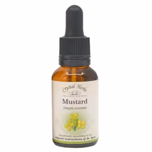 Mustard Floral de Bach 20 ml