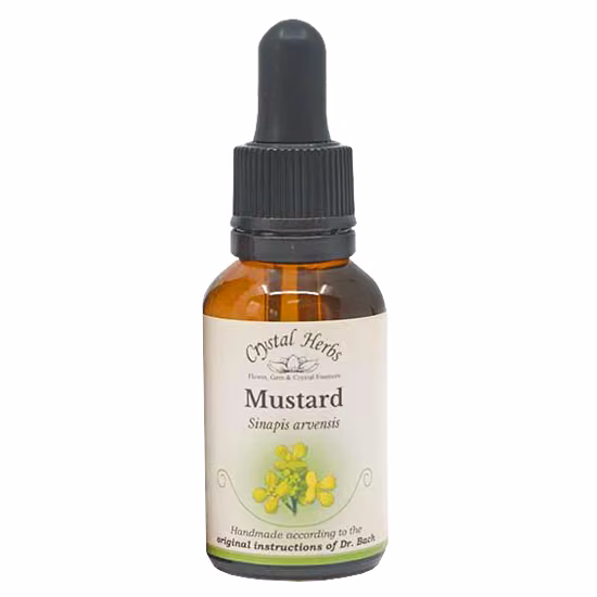 Mustard Floral de Bach 20 ml