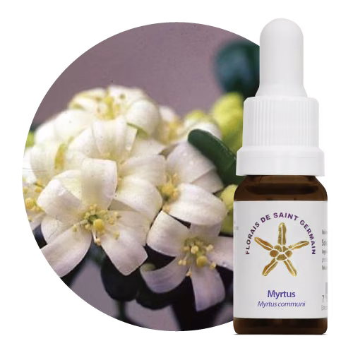 Myrtus Floral de Saint Germain 10 ml
