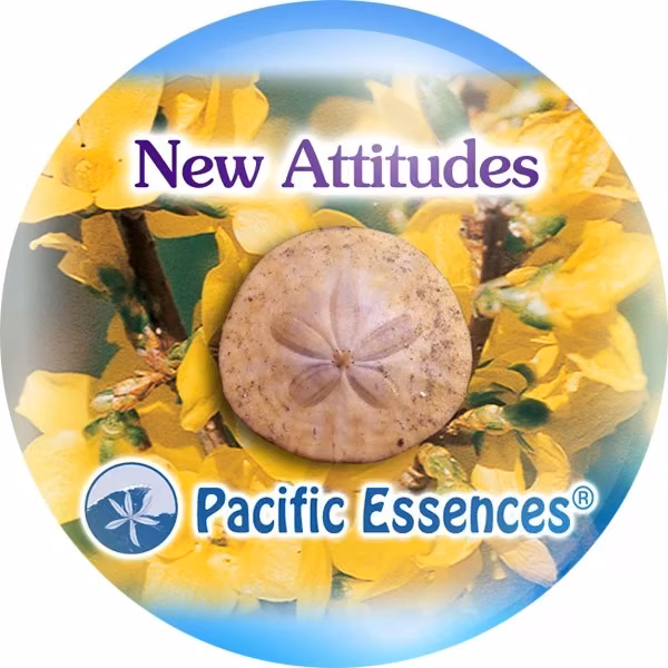 New Attitudes Novas Atitudes Essência Mineral do Pacífico 25 ml - Imagem 2