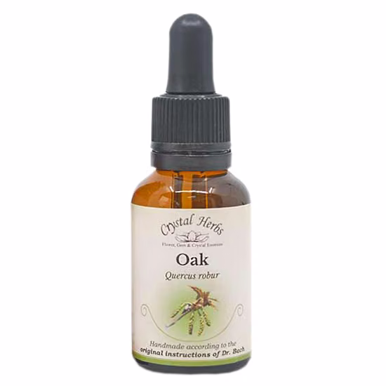 Oak Floral de Bach 20 ml - Imagem 2