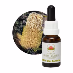 Old Man Banksia Floral do Bush Australiano 15 ml